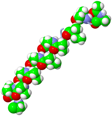 Image Biological Unit 1