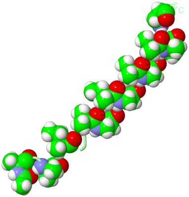 Image Biological Unit 2