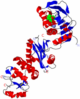 Image Asym./Biol. Unit