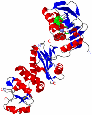 Image Asym./Biol. Unit - sites