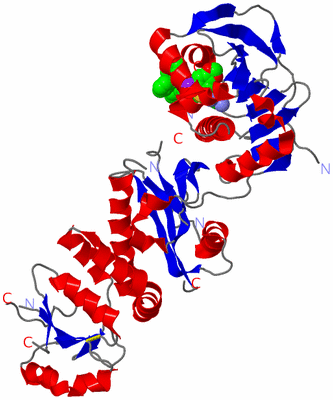 Image Asym./Biol. Unit