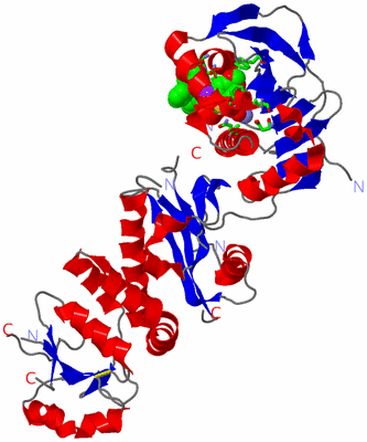 Image Asym./Biol. Unit - sites