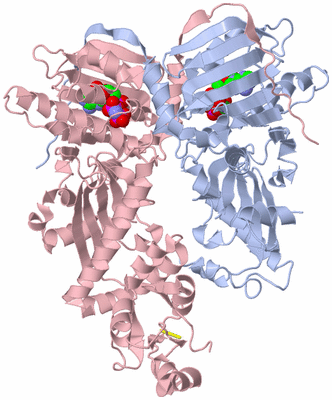 Image Biological Unit 1