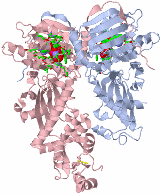 Image Biol. Unit 1 - sites