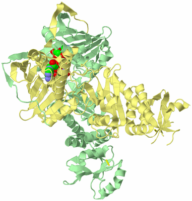 Image Biological Unit 2