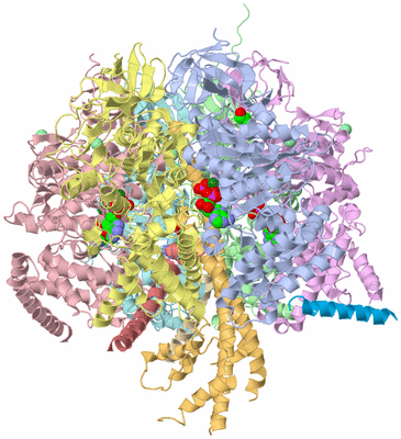 Image Asym./Biol. Unit