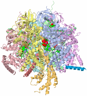 Image Asym./Biol. Unit - sites