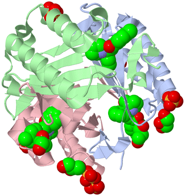 Image Biological Unit 1