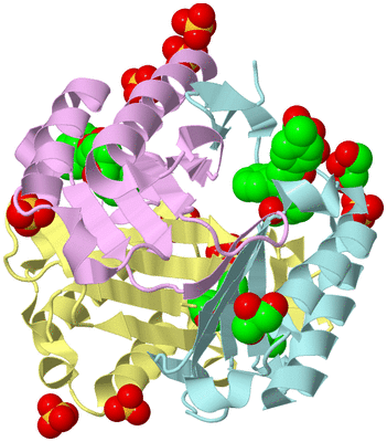 Image Biological Unit 2