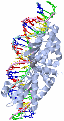 Image Biological Unit 2