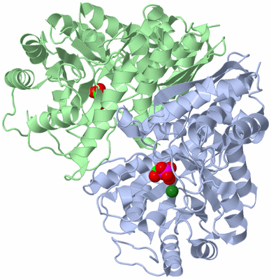 Image Asym./Biol. Unit