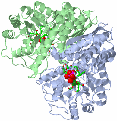 Image Asym./Biol. Unit - sites