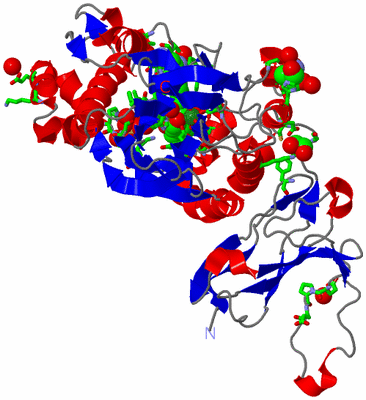 Image Asym./Biol. Unit - sites