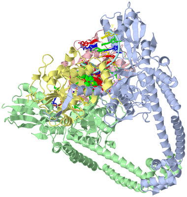 Image Asym./Biol. Unit - sites