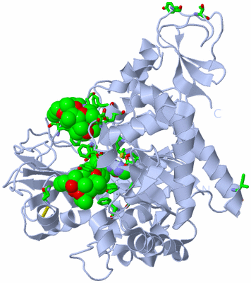 Image Biol. Unit 1 - sites