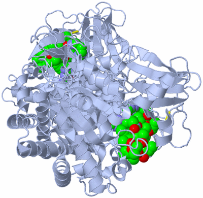 Image Biological Unit 2