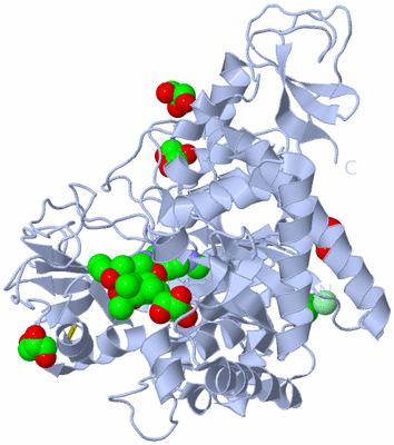 Image Biological Unit 1