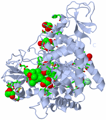 Image Biol. Unit 1 - sites