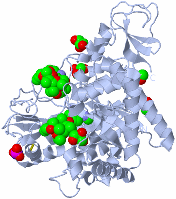 Image Biological Unit 1