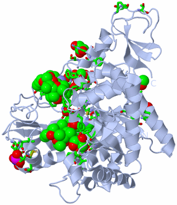 Image Biol. Unit 1 - sites