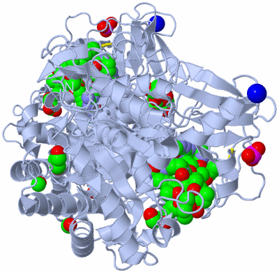 Image Biological Unit 2