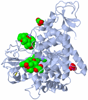 Image Biological Unit 1