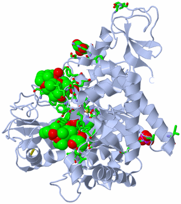 Image Biol. Unit 1 - sites