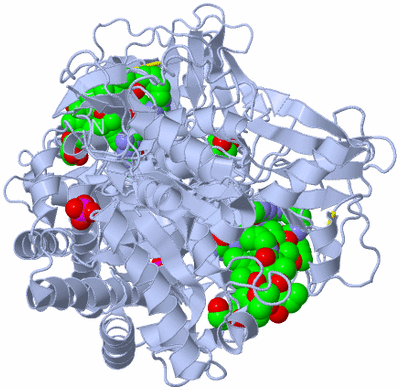 Image Biological Unit 2