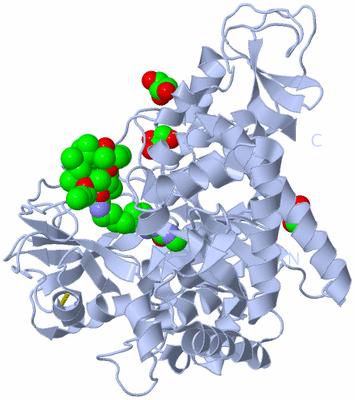 Image Biological Unit 1