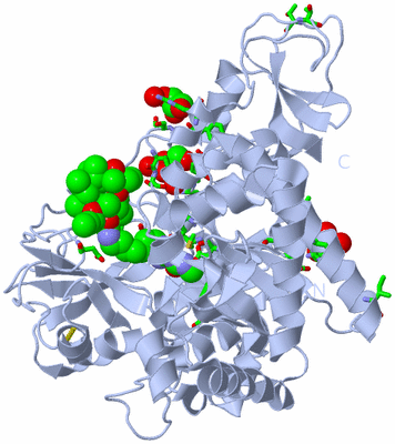 Image Biol. Unit 1 - sites