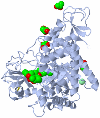 Image Biological Unit 1