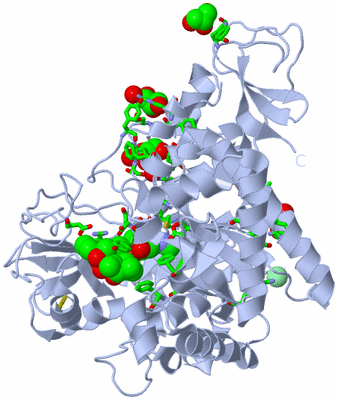 Image Biol. Unit 1 - sites