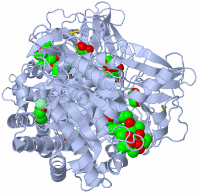 Image Biological Unit 2