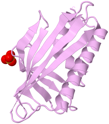 Image Biological Unit 4