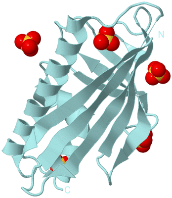 Image Biological Unit 5