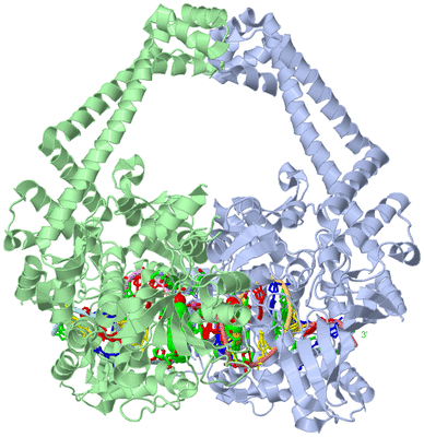 Image Asym./Biol. Unit - sites