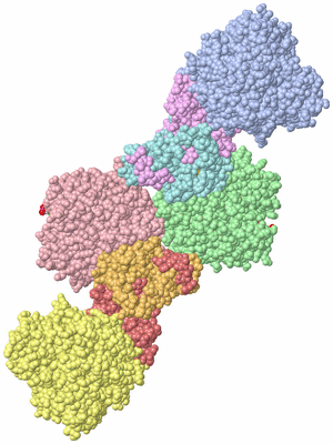 Image Asym./Biol. Unit