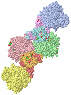 Image Asym./Biol. Unit - sites