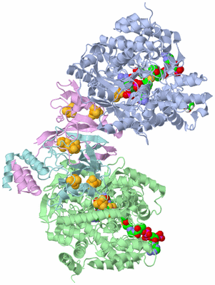 Image Biological Unit 1