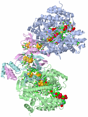 Image Biol. Unit 1 - sites