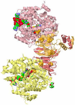 Image Biological Unit 2