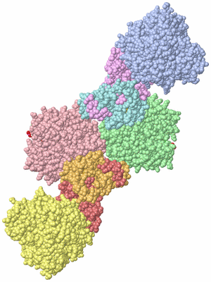 Image Asym./Biol. Unit