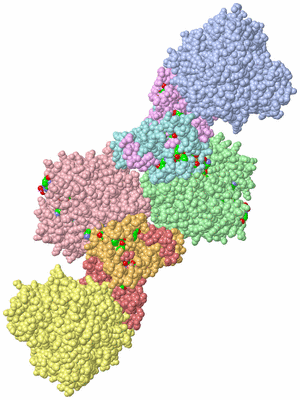 Image Asym./Biol. Unit - sites