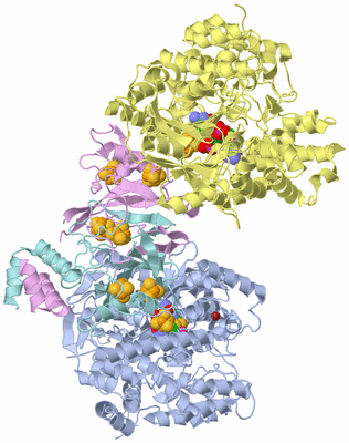 Image Biological Unit 1