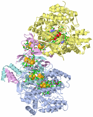 Image Biol. Unit 1 - sites