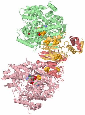 Image Biological Unit 2