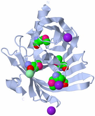 Image Biological Unit 1