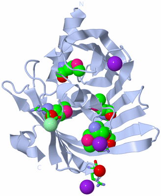 Image Biol. Unit 1 - sites