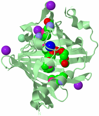 Image Biological Unit 2