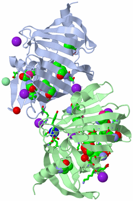 Image Asym. Unit - sites